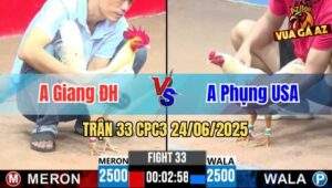 Trận 33 CPC3 24/06/2025 - Anh Giang Đức Hoà Vs Anh Phụng USA