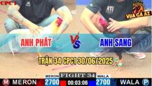 Trận 34 CPC1 30/06/2025 - Gà Chuối Nạp Cựa Hiểm Dính Tử Huyệt Đối Thủ