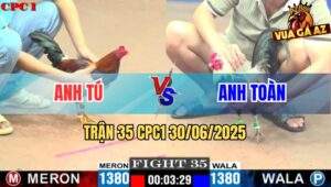 Trận 35 CPC1 30/06/2025 - Gà Anh Tú Nhấp Đúng 1 Chân Phân Thắng Bại