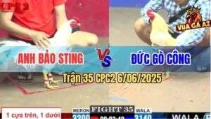 Trận 35 CPC2 6/6/2025 - Bướm Hiệu Bảo Sting Đá Tăng 1 Úa Gãy Giò