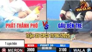 Trận 35 CPC3 11/6/2025 - Trứng Chọi Đá Bất Thành, Anh Gấu Bay Luôn 500