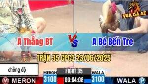 Trận 35 CPC3 23/06/2025 - Anh Bé Bến Tre Hạ Gà Chồng Độ Của Anh Thắng