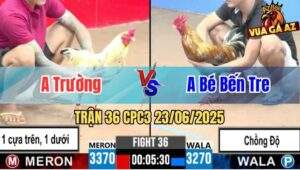 Trận 36 CPC3 23/06/2025 - Anh Trường Đụng Độ Idol Bé Bến Tre