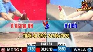 Trận 36 CPC3 24/06/2025 - Gà Anh Giang Đức Hoà Ăn Nhanh Gọn