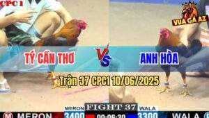Trận 37 CPC1 10/6/2025 - Gà Anh Hòa Sút Gà Anh Tý Chạy Kêu Miệng