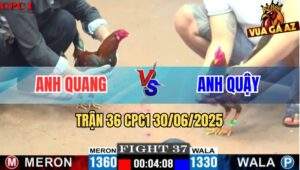 Trận 37 CPC1 30/06/2025 - Gà Anh Quang Nạp Cây Ngay Ngực Hạ Đối Thủ