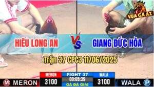 Trận 37 CPC3 11/6/2025 - Tranh Nhì 1, Hiếu Long An Và Giang Đức Hòa