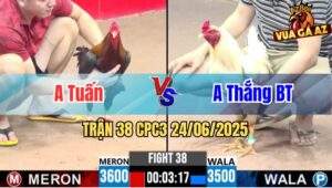Trận 38 CPC3 24/06/2025 - Anh Tuấn Vs Anh Thắng Bến Tre
