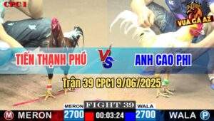 Trận 39 CPC1 9/6/2025 - Anh Tiến Thạnh Phú Và Anh Cao Phi