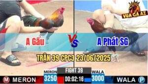 Trận 39 CPC3 23/06/2025 - Anh Gấu Hạ Đẹp Anh Phát Sài Gòn