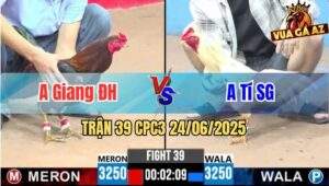 Trận 39 CPC3 24/06/2025 - Anh Giang Đức Hoà Vs Anh Tí Sài Gòn
