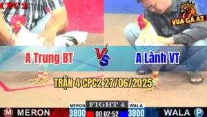 Trận 4 CPC2 27/06/2025 - Gà Anh Lành Nạp 2 Chân Tiễn Đối Thủ Đi Bụi