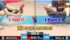 Trận 42 CPC3 29/06/2025 - Anh Thiện Vũng Tàu Vs Anh Khanh Bến Tre
