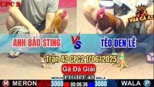 Trận 43 CPC2 1/6/2025 - Chúc Mừng Anh Bảo Sting Lên Ngôi Á Quân