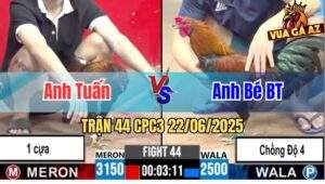 Trận 44 CPC3 22/06/2025 - Gà Que Anh Bé Bến Tre Thắng Chồng Độ 4