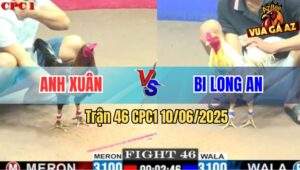 Trận 46 CPC1 10/6/2025 - Xanh Que Anh Xuân Đá Bo Như Xe Đụng