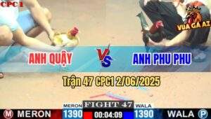Trận 47 CPC1 2/6/2025 - Kèo Hẹn Giữa Anh Quậy Gà Cúp Và Anh Phu Phu