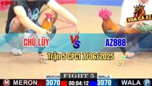 Trận 5 CPC1 7/6/2025 - Gà AZ888 Đá Mẻ Hiệu Tính Ga King Chạy Kêu Miệng