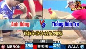 Trận 6 CPC3 22/6/2025 - Anh Hùng Hạ Luôn Gà Chuối Hiệu Của Idol