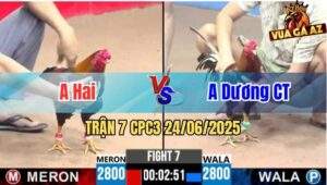 Trận 7 CPC3 24/06/2025 - Anh Hai Đụng Độ Anh Dương Cần Thơ