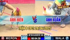 Trận 8 CPC1 28/06/2025 - Gà Bướm Anh Xuân Đá Khét Cắm Đầu Chết Tại Chỗ