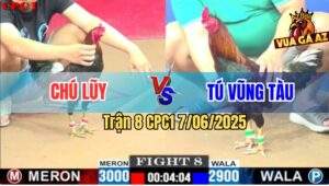 Trận 8 CPC1 7/6/2025 - Điều Xanh Chân Xanh Anh Tính Đâm Cựa Như Chỉa