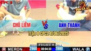 Trận 8 CPC2 8/6/2025 - Úa Anh Thanh Đá Úa Chú Liêm Tối Tăm Mặt Mũi
