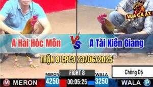 Trận 8 CPC3 23/06/2025 - Gà Xám Anh Tài Kiêng Giang Chồng Độ Chấp 1kg