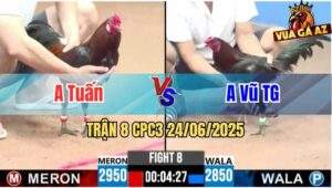 Trận 8 CPC3 24/06/2025 - Gà Anh Vũ Tiền Giang Đá Bo Quá Lực