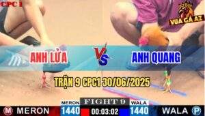 Trận 9 CPC1 30/06/2025 - Gà Anh Quang Đâm Cựa Quá Tịch Lụm Xổ Anh Lửa