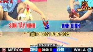Trận 9 CPC2 8/6/2025 - Điều Anh Định Có Chân Phản Ăn 1 Báo Hại Hàng 6