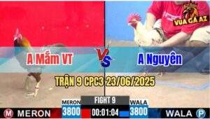 Trận 9 CPC3 23/06/2025 - Anh Mắm Vũng Tàu Đụng Độ Anh Nguyên