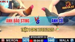 Trận 1 CPC1 7/7/2025 - Anh Bảo Sting Mở Bát Không Thành Công