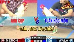 Trận 1 CPC2 11/7/2025 - Anh Cọp Mở Bát Đụng Ngay Anh Tuấn Hóc Môn