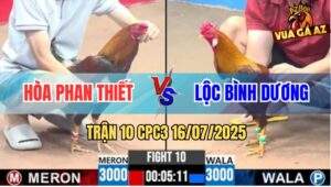 Trận 10 CPC3 16/7/2025 - Mẻ Điều Anh Hòa Phan Thiết Đá Như Tên Bắn