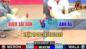Trận 11 CPC1 8/7/2025 - Bướm Anh Âu Đá 1 Cước Đối Thủ Nghiêng Phà