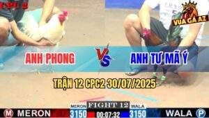 Trận 12 CPC2 30/7/2025 - Úa Anh Phong Hạ Que Anh Tư Mã Ý Nhanh Gọn