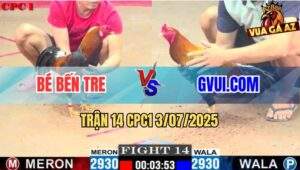 Trận 14 CPC1 3/7/2025 - Gà Điều GVUI.COM Đâm Không Trượt Phát Nào