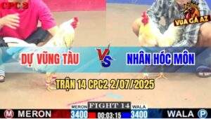 Trận 14 CPC2 2/7/2025 - Gà Bướm Anh Dự Quá Trâu Gà Úa Đâm Không Thấm