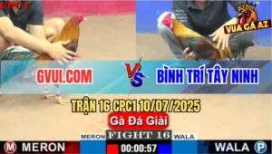 Trận 16 CPC1 10/7/2025 - GVUI.COM Gặp Anh Bình Trí Tây Ninh