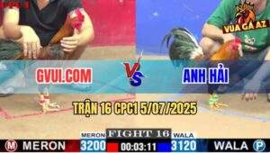Trận 16 CPC1 5/7/2025 - Gà Điều Anh Hải Tiễn Gà Điều GVUI.COM Nhập Thổ