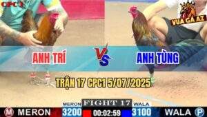 Trận 17 CPC1 5/7/2025 - Gà Khét Anh Trí Mai Độ Hạ Đẹp Que Cọp Anh Tùng
