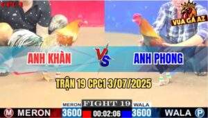 Trận 19 CPC1 3/7/2025 - Anh Phong Quá Hừng Lụm Trọn 4 Cái Liên Tiếp