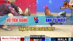 Trận 19 CPC2 23/7/2025 - Xám Son Lên 2 Gặp Ngay Que Cọp Anh Tư Mã Ý