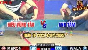 Trận 19 CPC2 4/7/2025 - Điều Siêu Mỹ Anh Hiếu Bao Bồ Thành Công