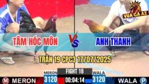 Trận 19 CPC3 17/7/2025 - Điều Anh Tâm Có Chân Xạo Lờ Đưa Biện Ra Đảo