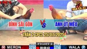 Trận 2 CPC2 25/7/2025 - Anh Bình Sài Gòn Đụng Anh Út Mèo
