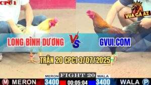 Trận 20 CPC1 3/7/2025 - Bướm Anh Long Đâm Gà GVUI.COM Không Kịp Nhìn