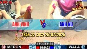 Trận 22 CPC2 25/7/2025 - Bướm Hiệu Bảo Sting Đá Đúng 1 Cước Gom Bồ