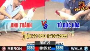 TRAN 22 CPC3 17072025